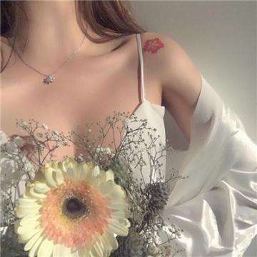 澳门正版资料大全手机app下载